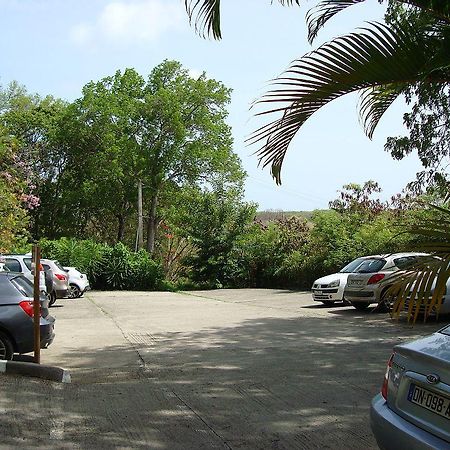 Palm'Studio Anse De Caritan Sainte-Anne Exterior foto