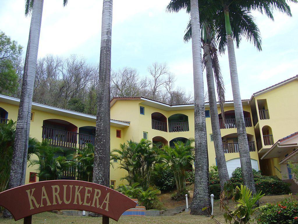 Palm'Studio Anse De Caritan Sainte-Anne Exterior foto